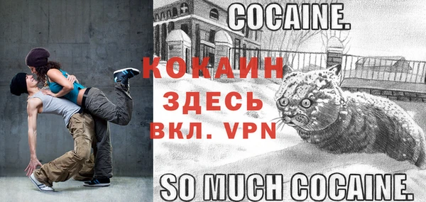 спайс Богородицк
