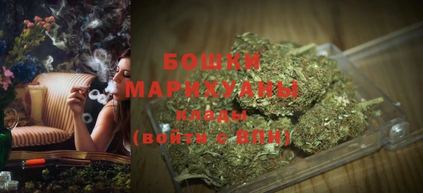 PSILOCYBIN Бронницы