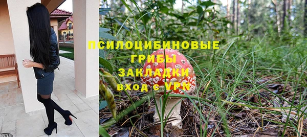 PSILOCYBIN Бронницы