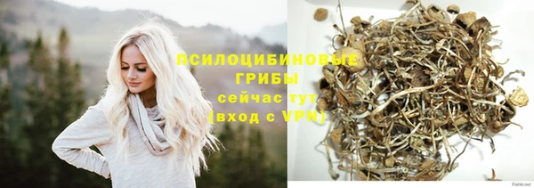 PSILOCYBIN Бронницы