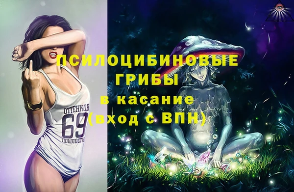 спайс Богородицк
