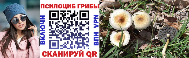 сколько стоит  Лыткарино  Галлюциногенные грибы MAGIC MUSHROOMS 